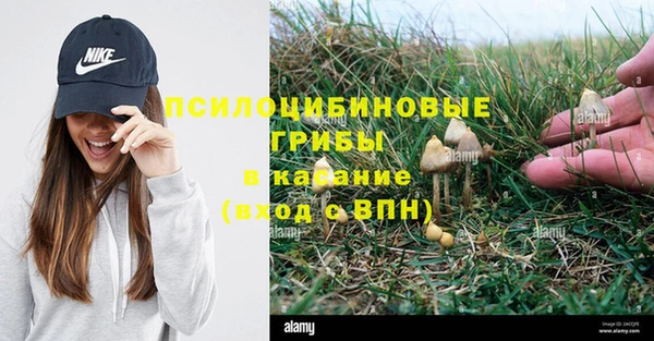 молекула духа Дмитровск