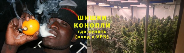 молекула духа Дмитровск