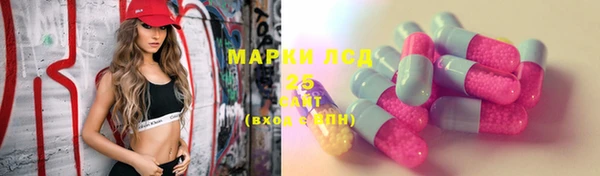 Альфа ПВП Дмитриев