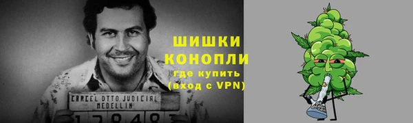 Альфа ПВП Дмитриев