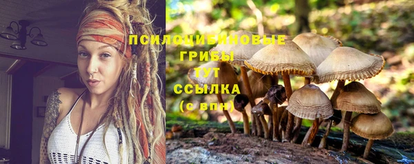 Альфа ПВП Дмитриев