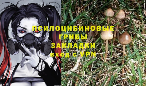 молекула духа Дмитровск
