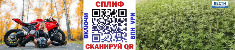 Конопля THC 21%  продажа наркотиков  Домодедово 